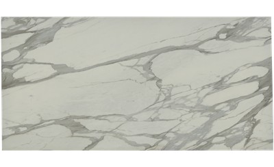 Bernini Leather Porcelain