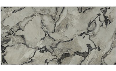 Oyster Porcelain