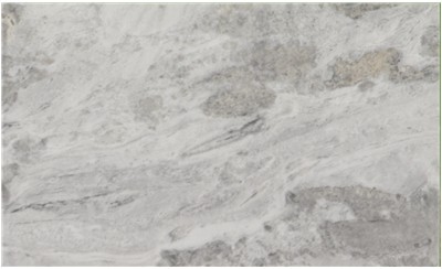 Gray Oyster Marble