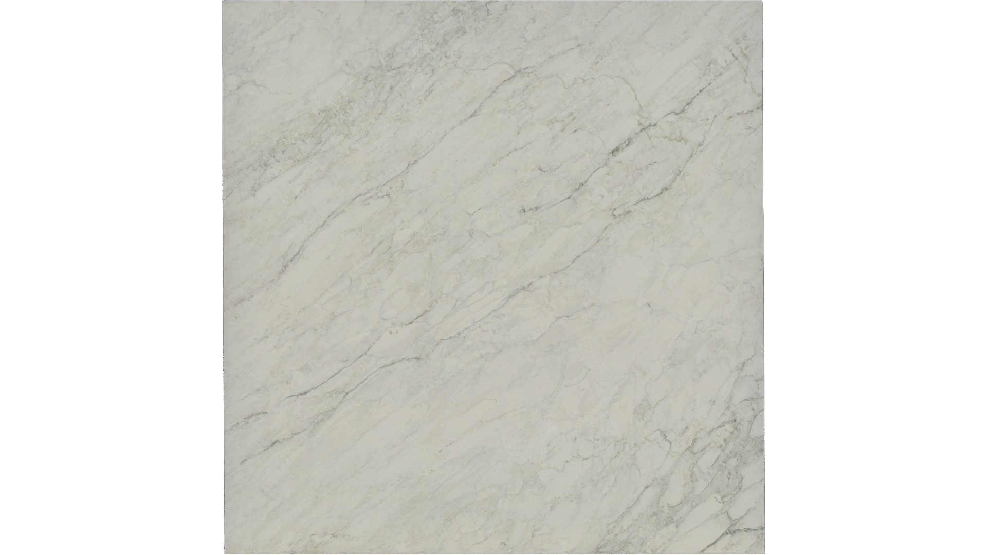 Calacatta Dove Grey  Quartz Slabs