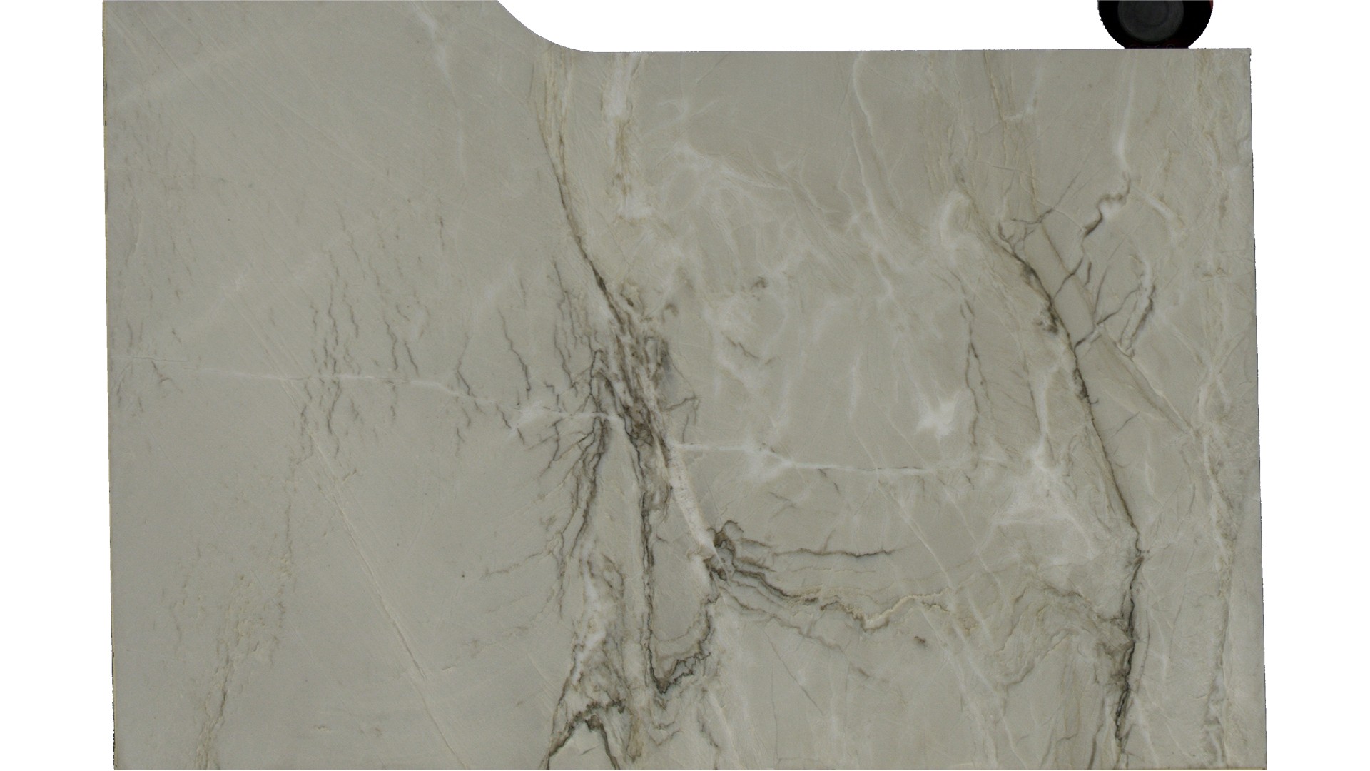 Le Blanc Quartzite Slabs