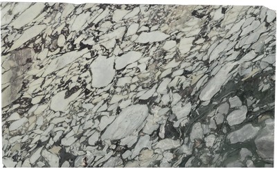 Calacatta Viola Marble