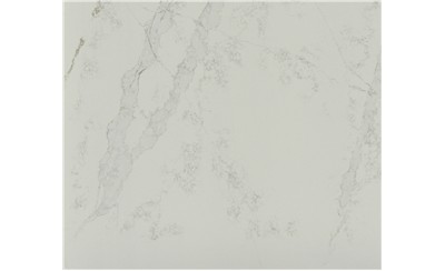 Elegance Michelangelo Quartz