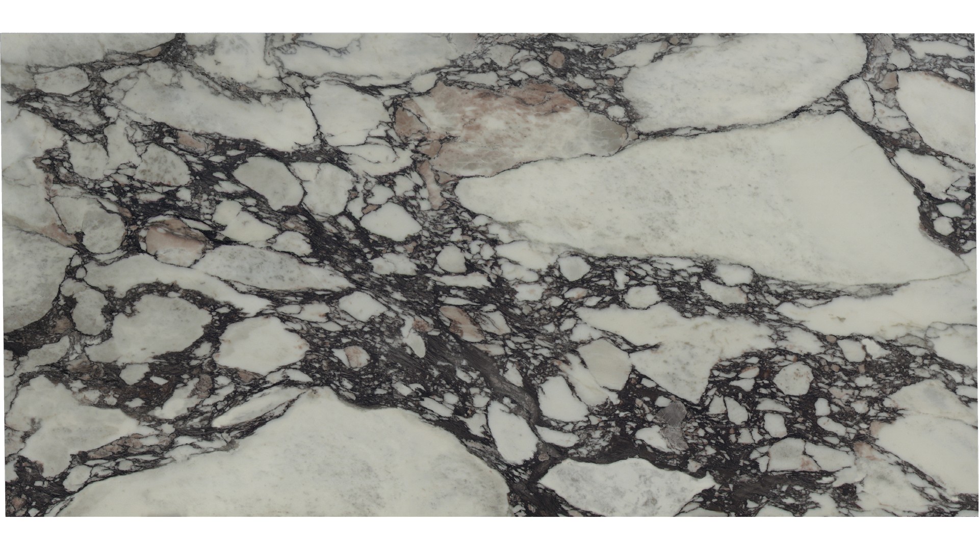 Calacatta Viola Porcelain Slabs