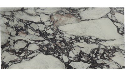 Calacatta Viola Porcelain