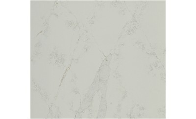 Elegance Michelangelo Quartz