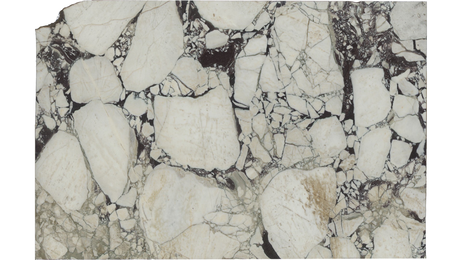 Calacatta Viola Marble Slabs
