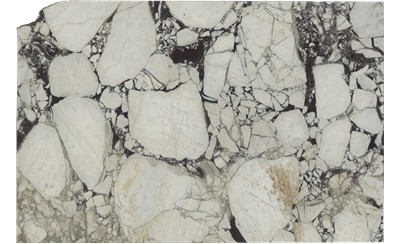 Calacatta Viola Marble