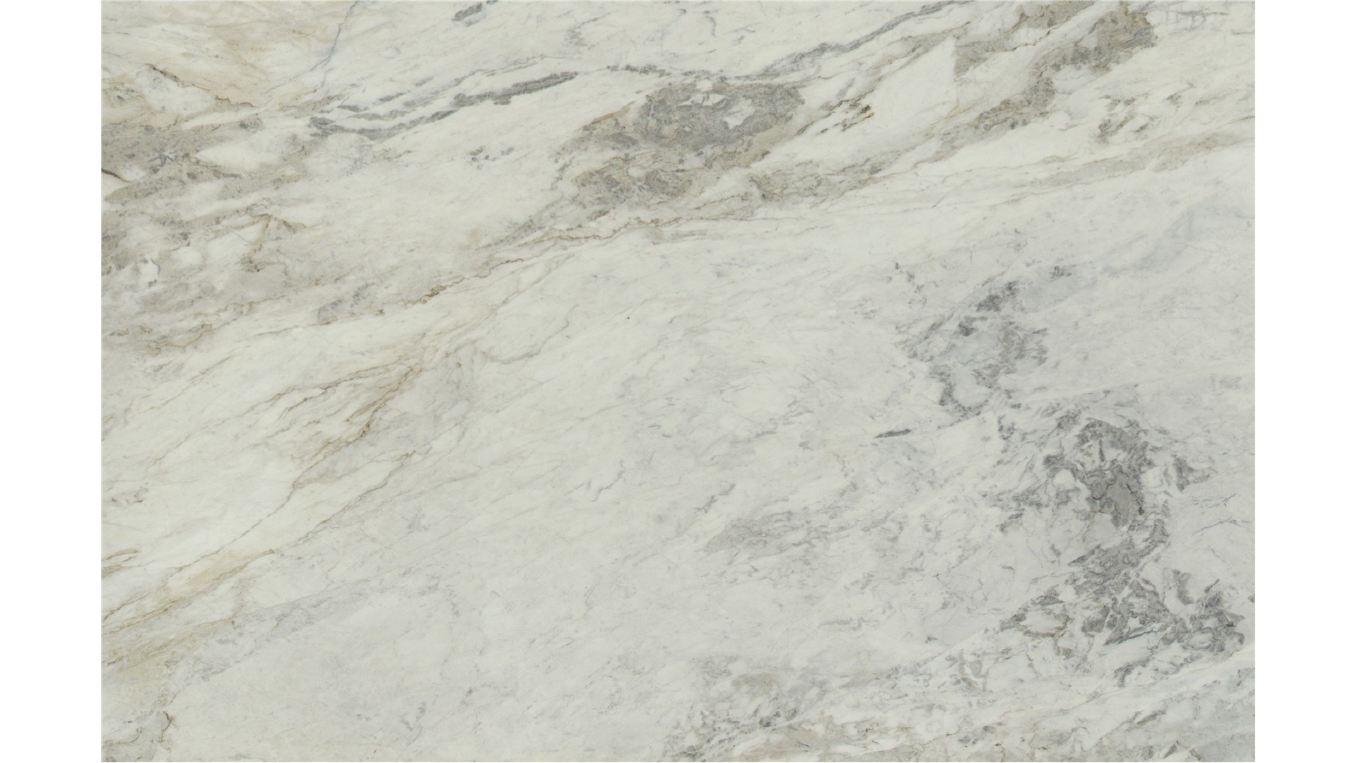 Matarazzo Dolomite Slabs