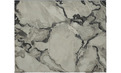 Oyster Porcelain