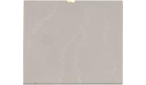 CS5110 Alpine Mist Caesarstone