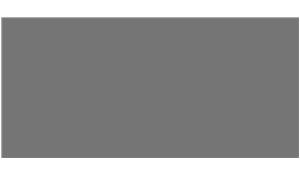 CS4360 Wild Rice Caesarstone