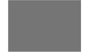 HSAJAN Ajanta Hanstone Quartz