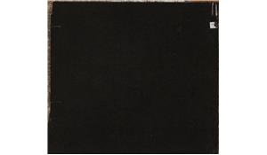 Black Pearl Leathered