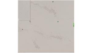 CS5031 Statuario Maximus Caesarstone