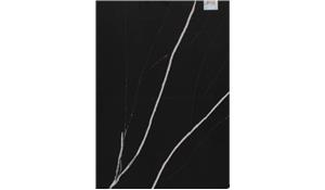 SSETMN Eternal Marquina Silestone
