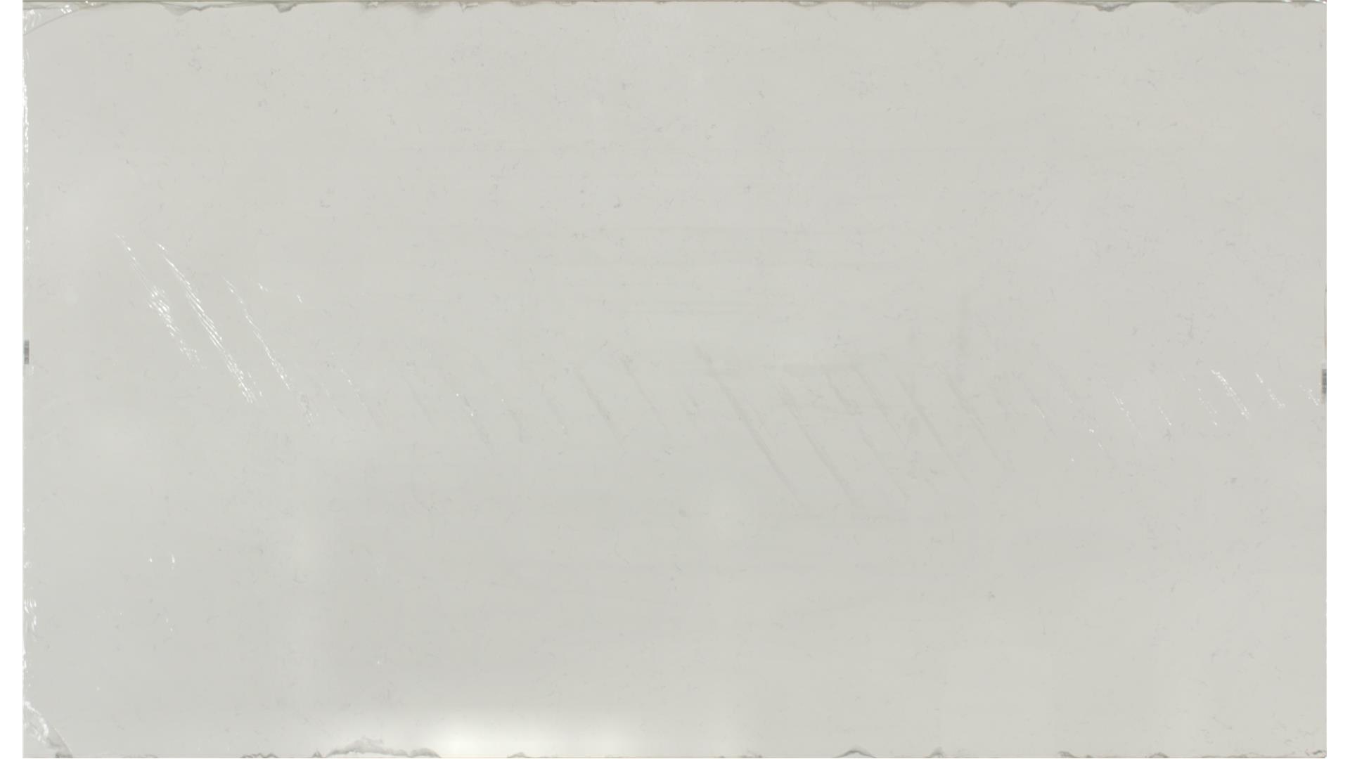 CARRARA PISA QUARTZ Slabs