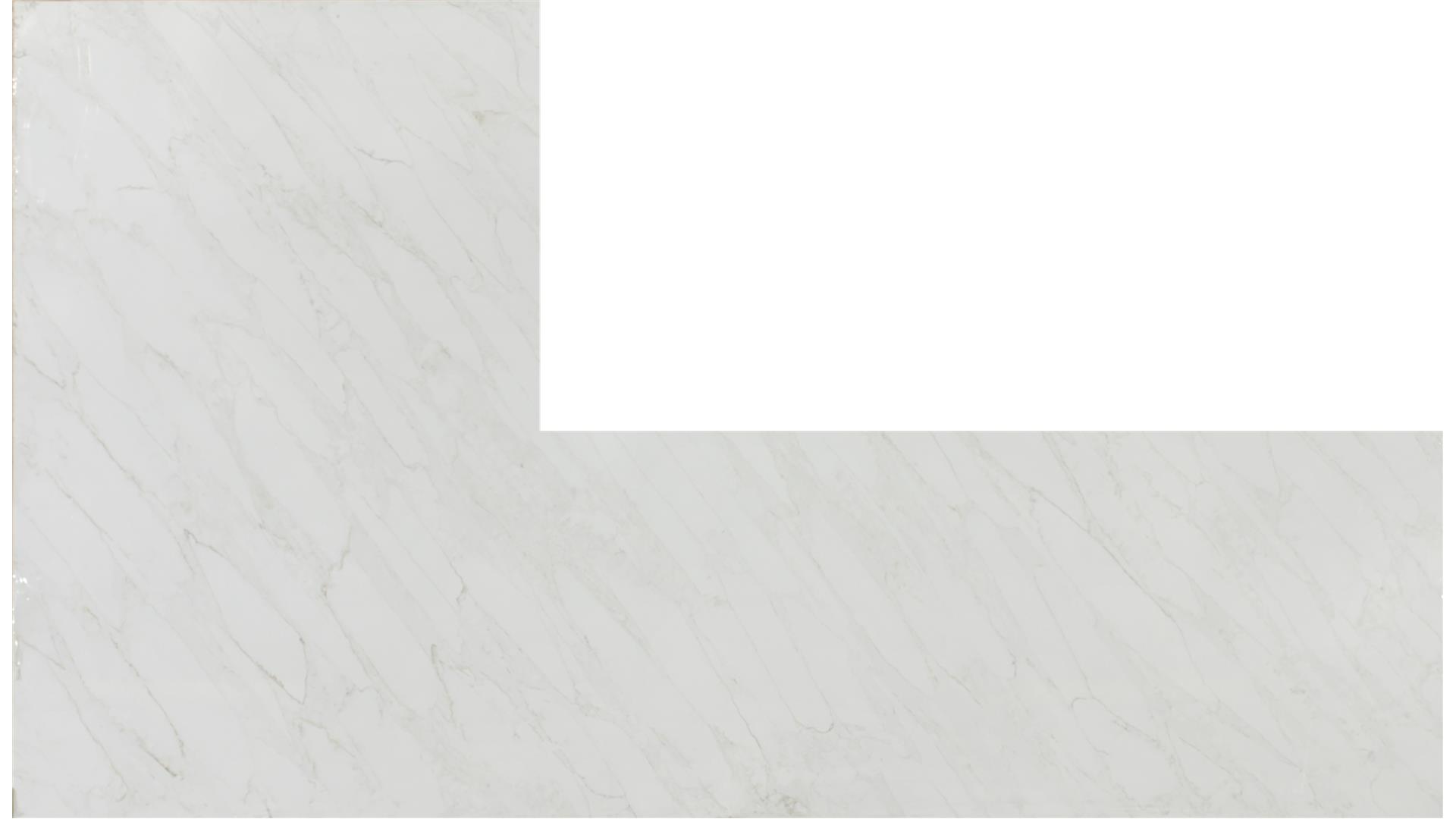 Calacatta Premata QUARTZ Slabs