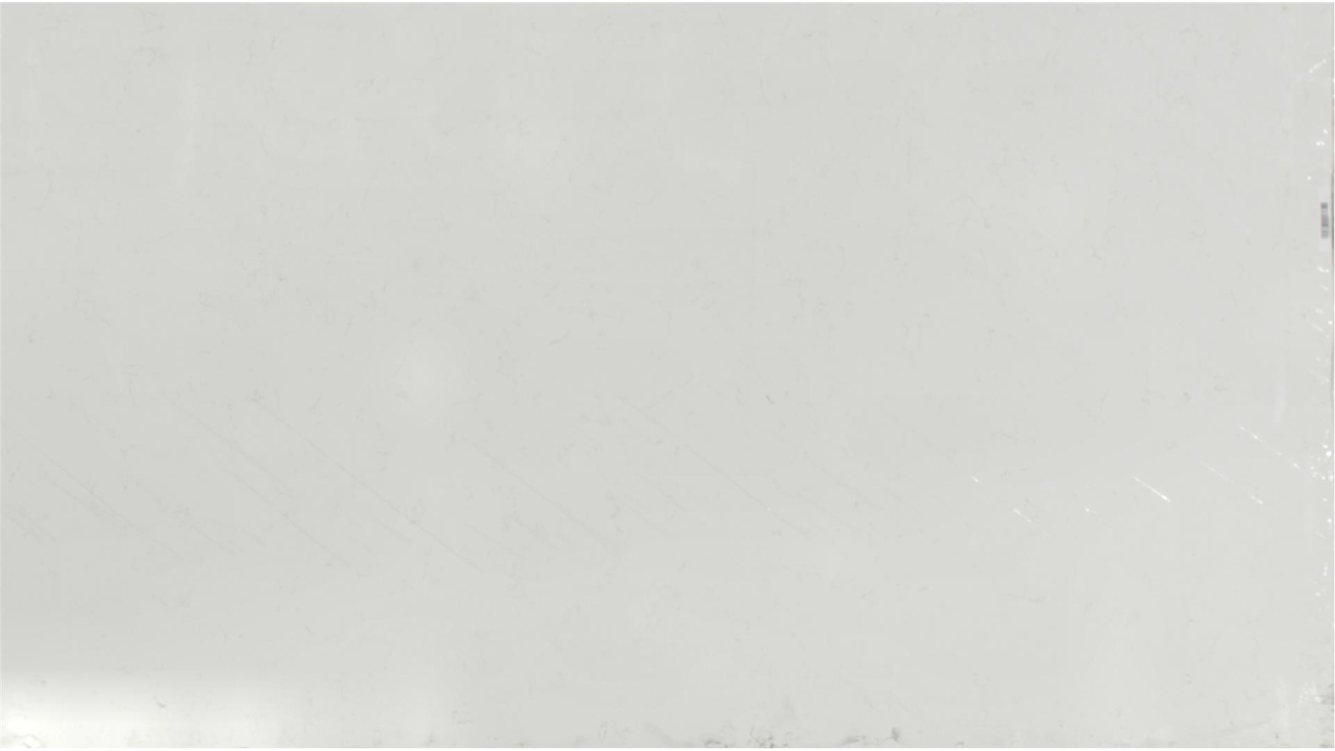 CARRARA ROMA QUARTZ Slabs