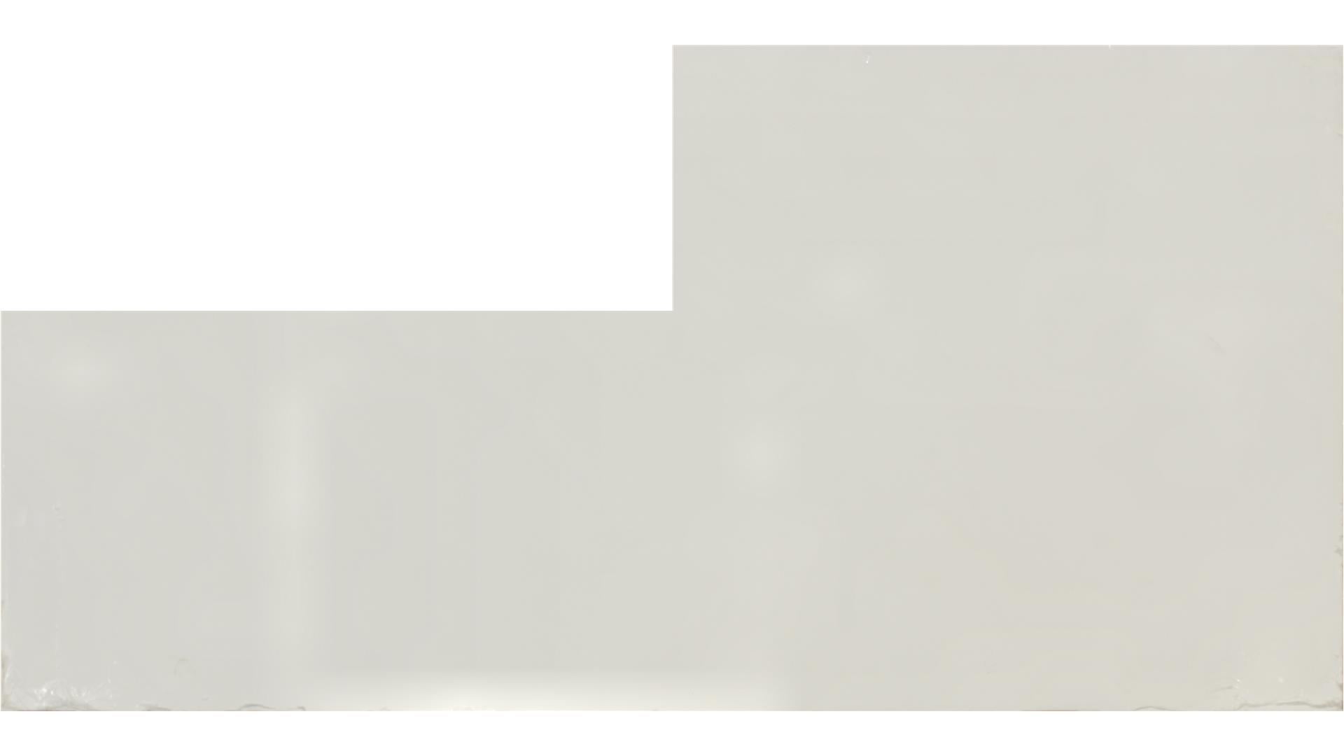 Arctic White QUARTZ Slabs