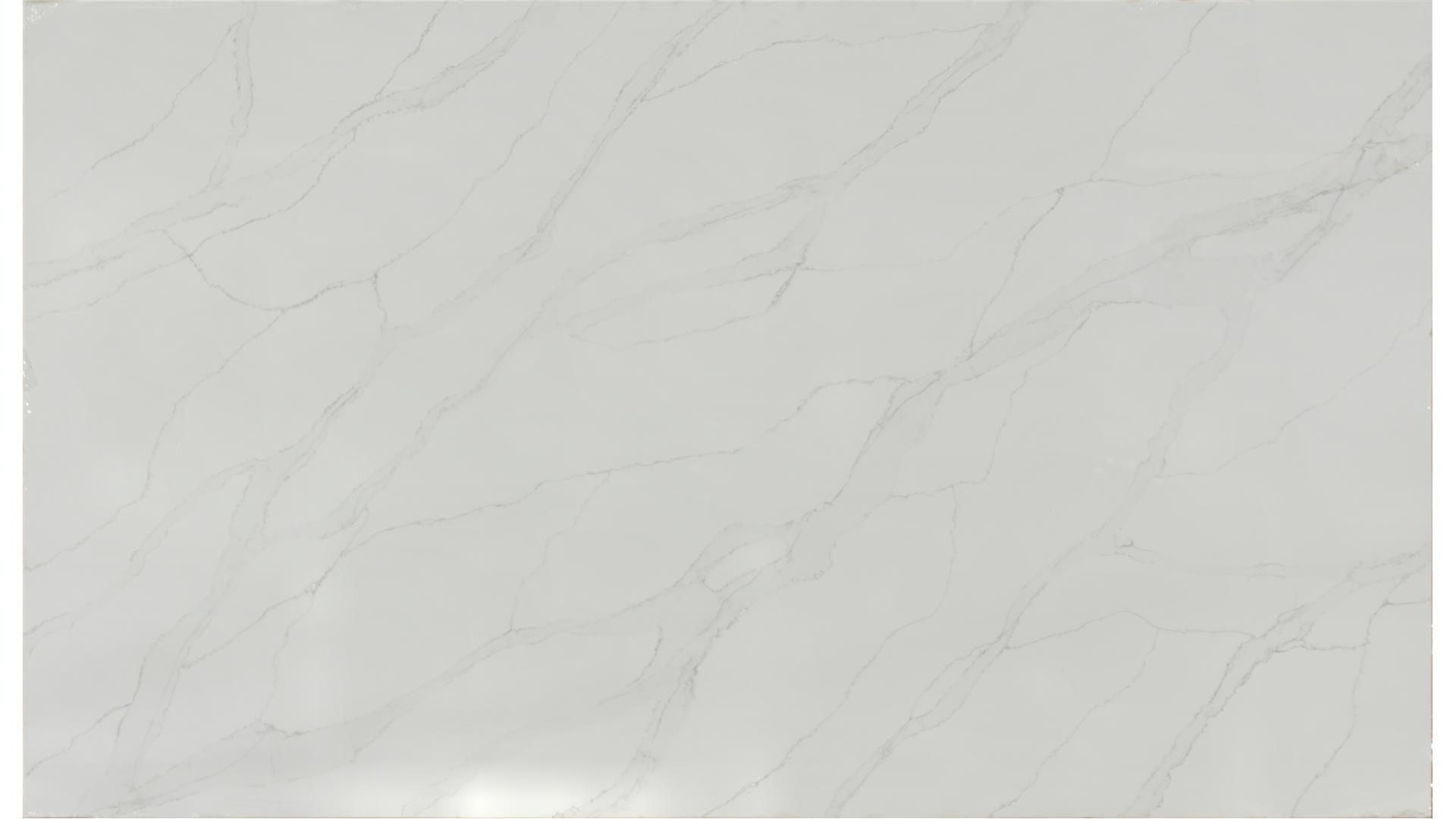 Calacatta Izaro QUARTZ Slabs