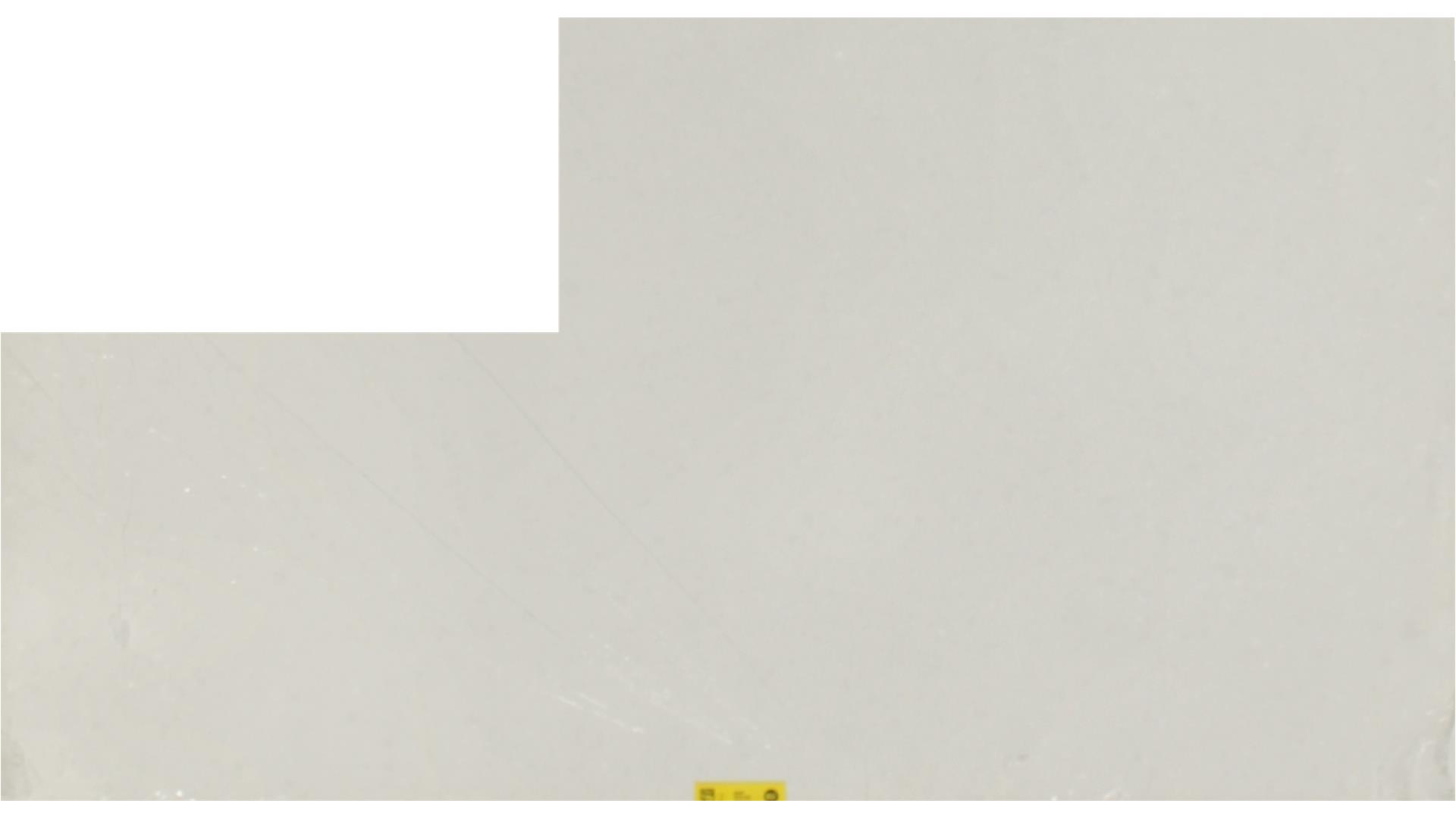 ORGANIC WHITE QUARTZ Slabs