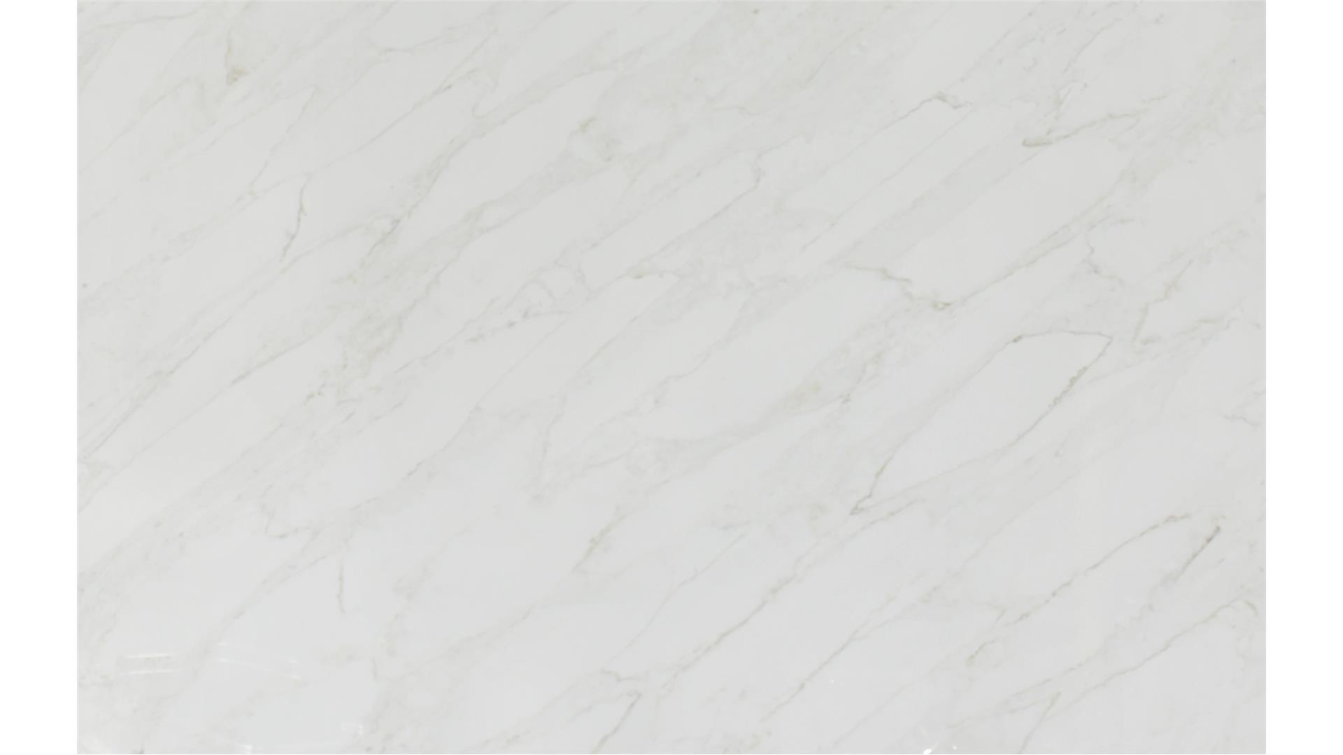Calacatta Premata QUARTZ Slabs