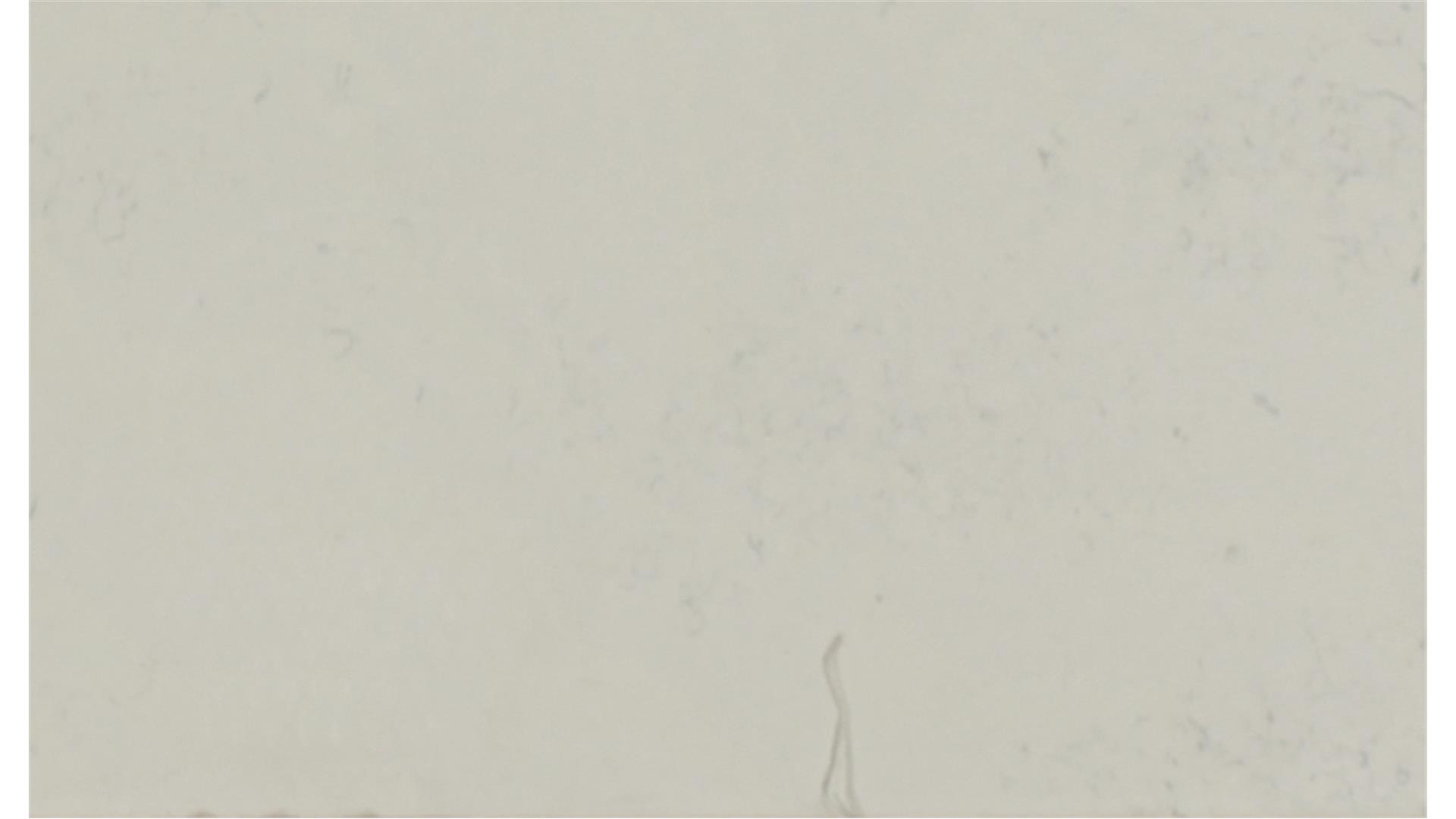 Carrara Marmi QUARTZ Slabs