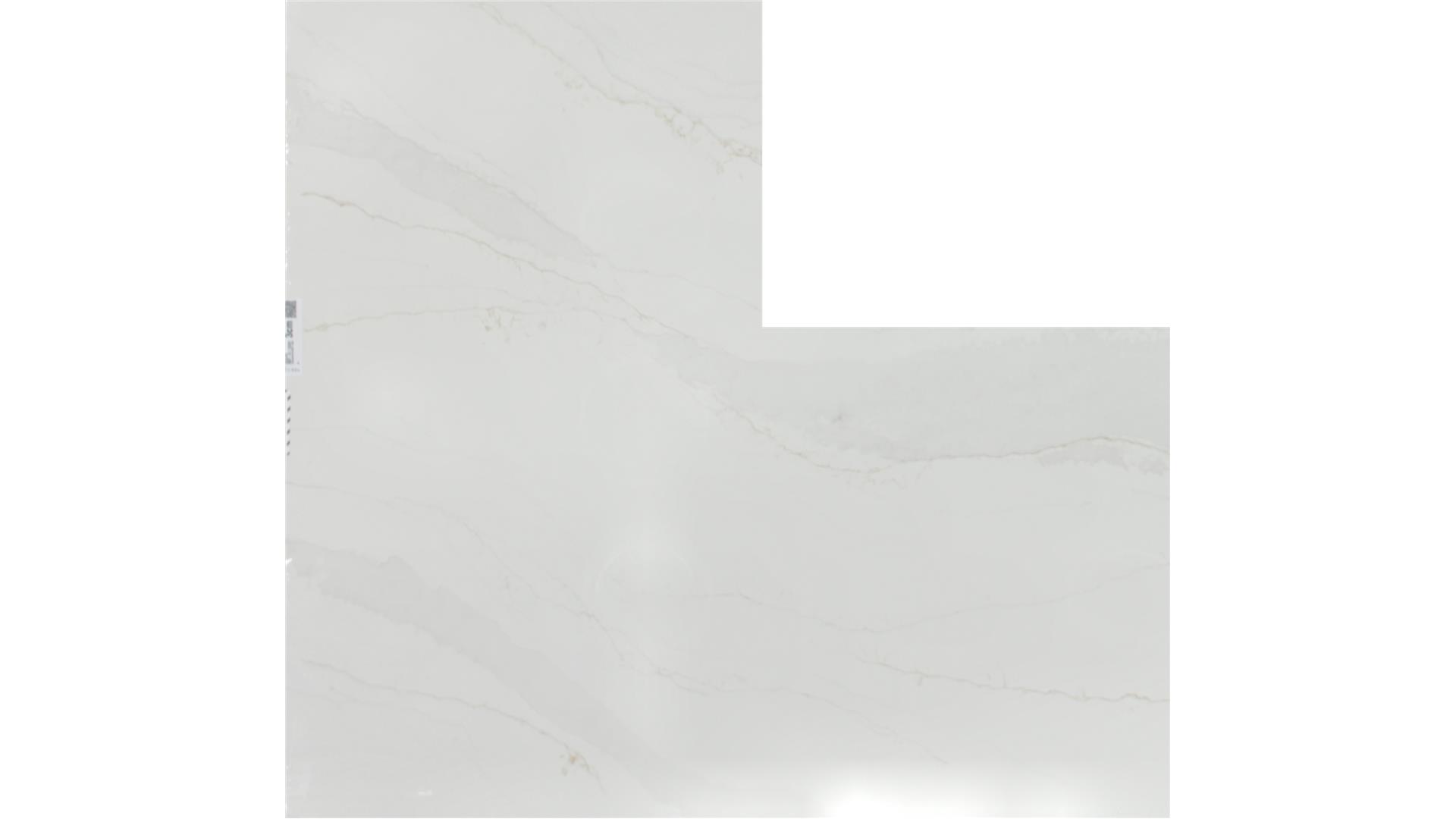 Splendor  QUARTZ Slabs
