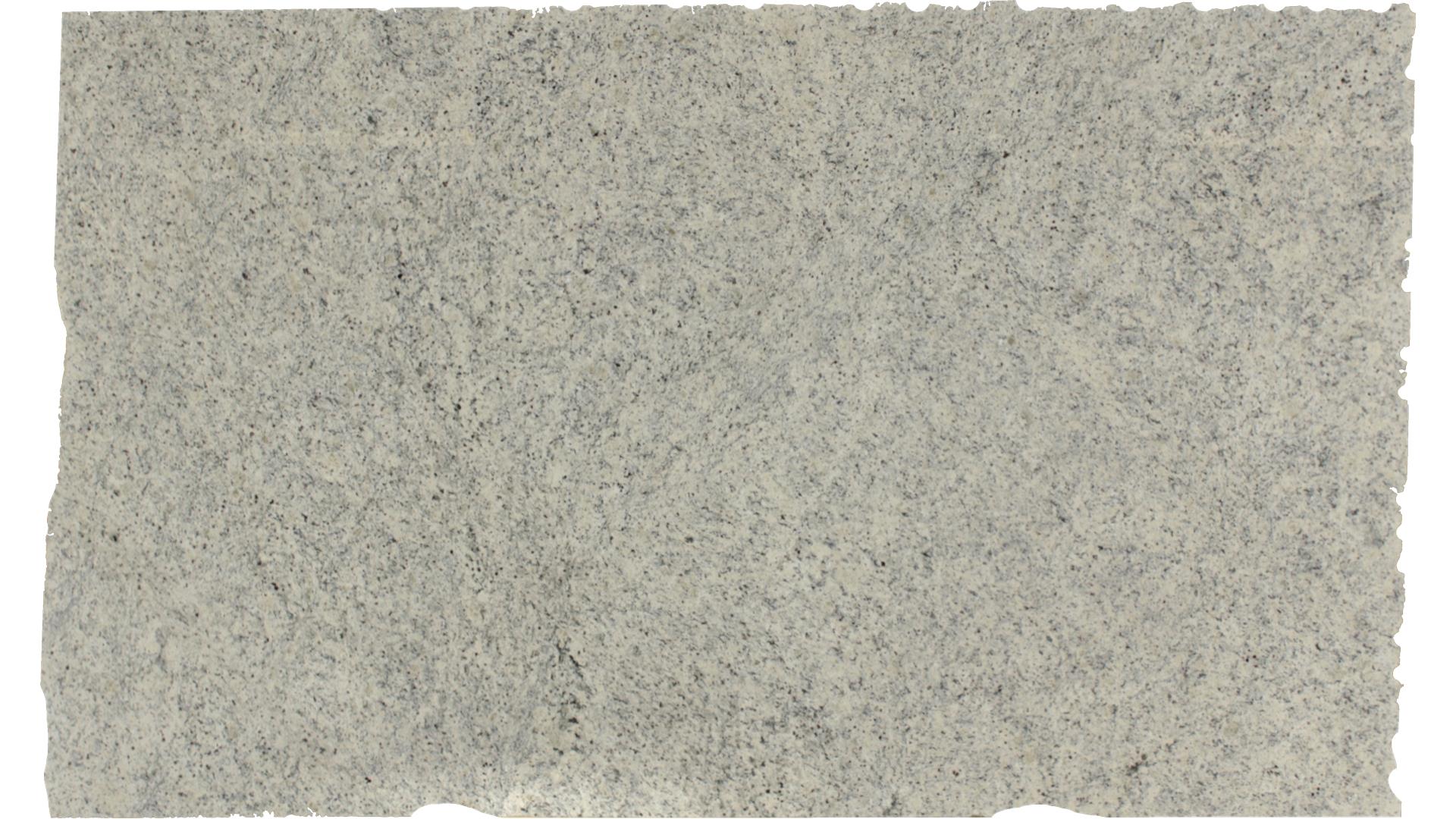 Dallas White GRANITE Slabs