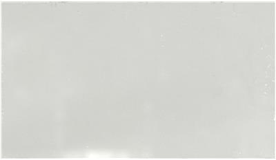 Sparkling White QUARTZ