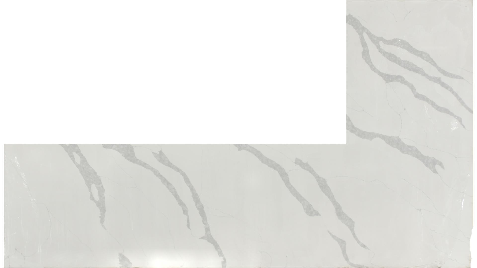 Calacatta Leon QUARTZ Slabs