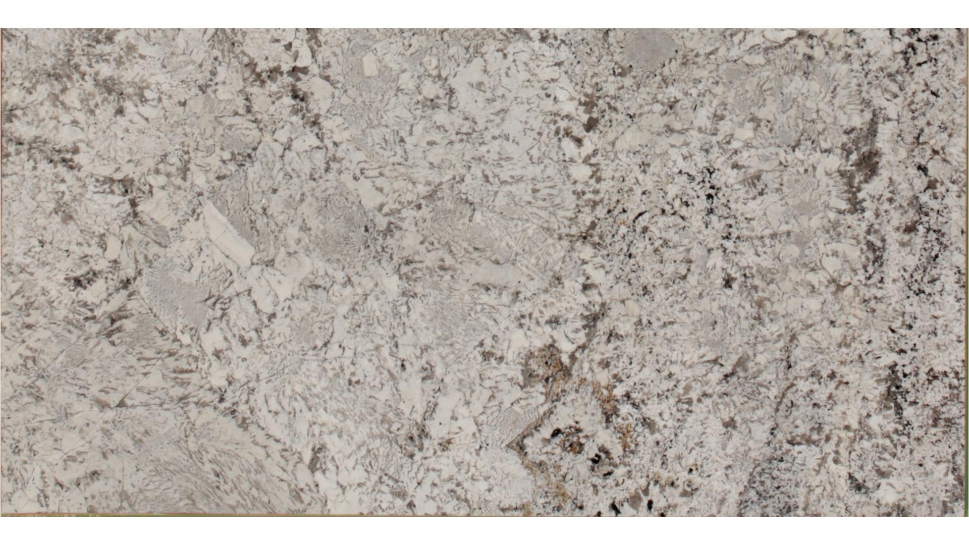 alaska white GRANITE Slabs