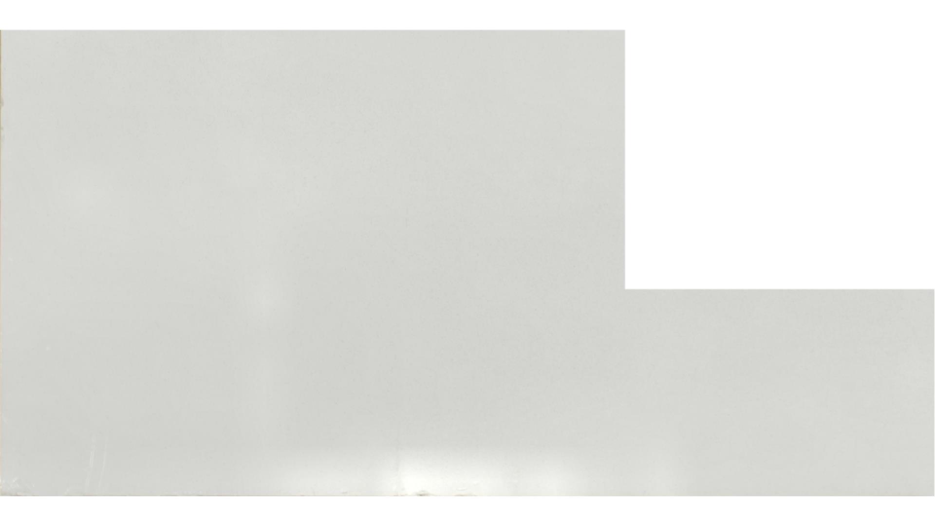 Frost White QUARTZ Slabs