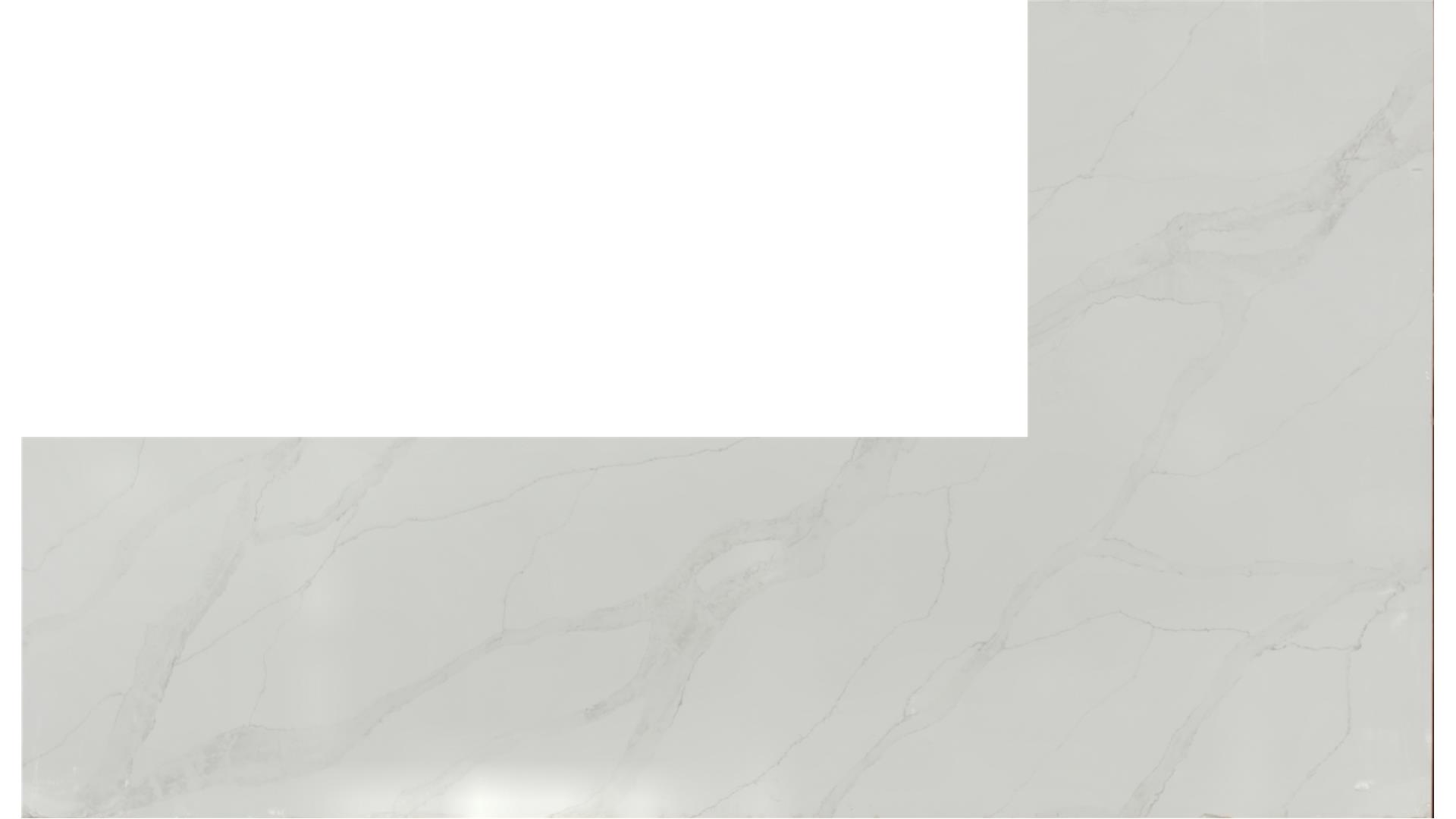 Calacatta Izaro QUARTZ Slabs