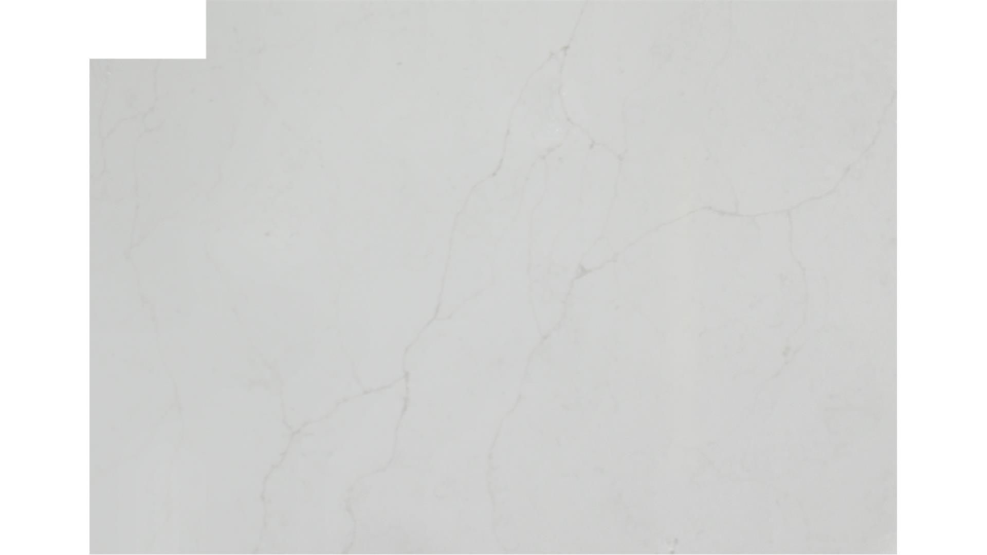 Calacatta Prado QUARTZ Slabs