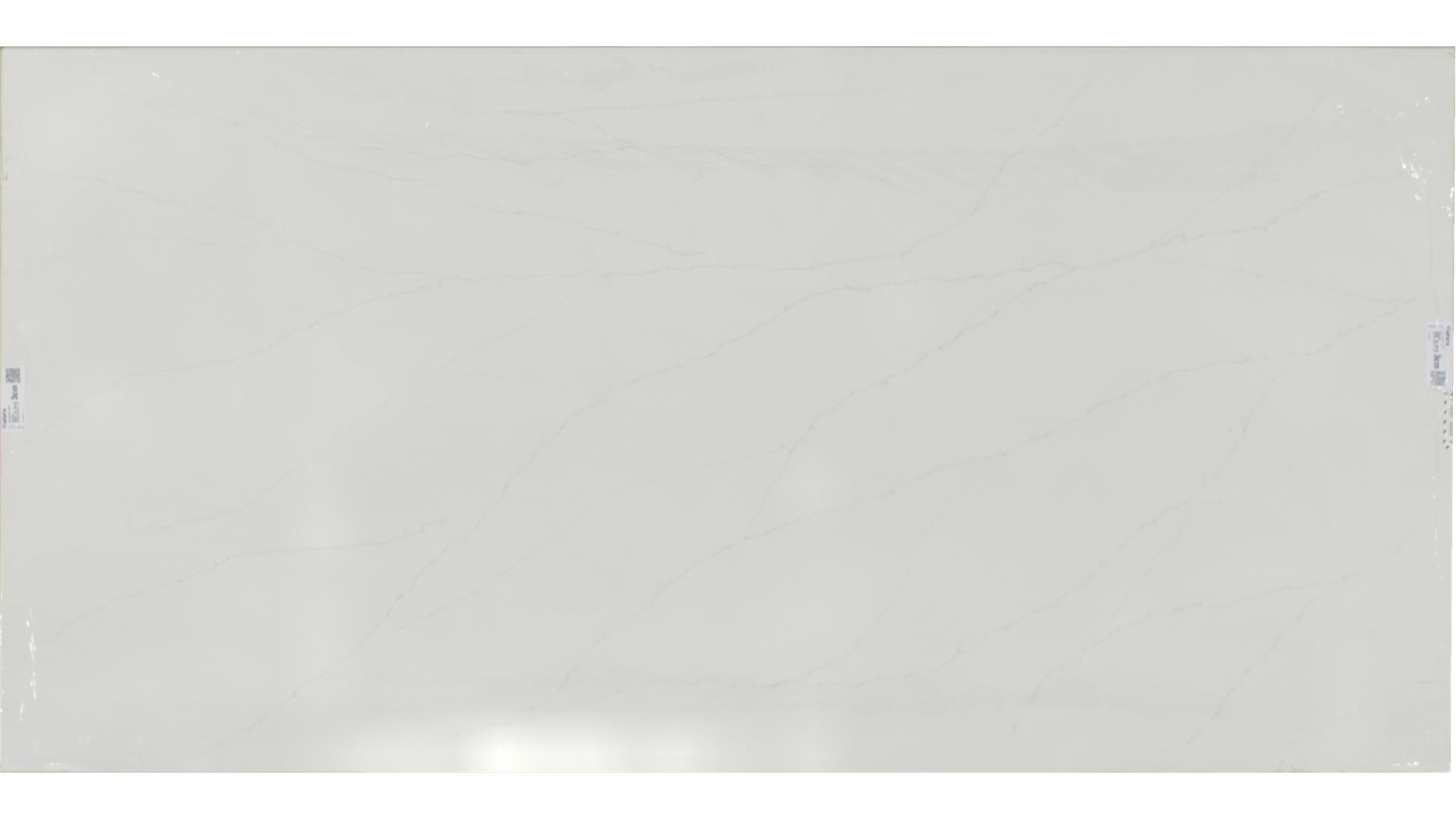 Delicato  QUARTZ Slabs