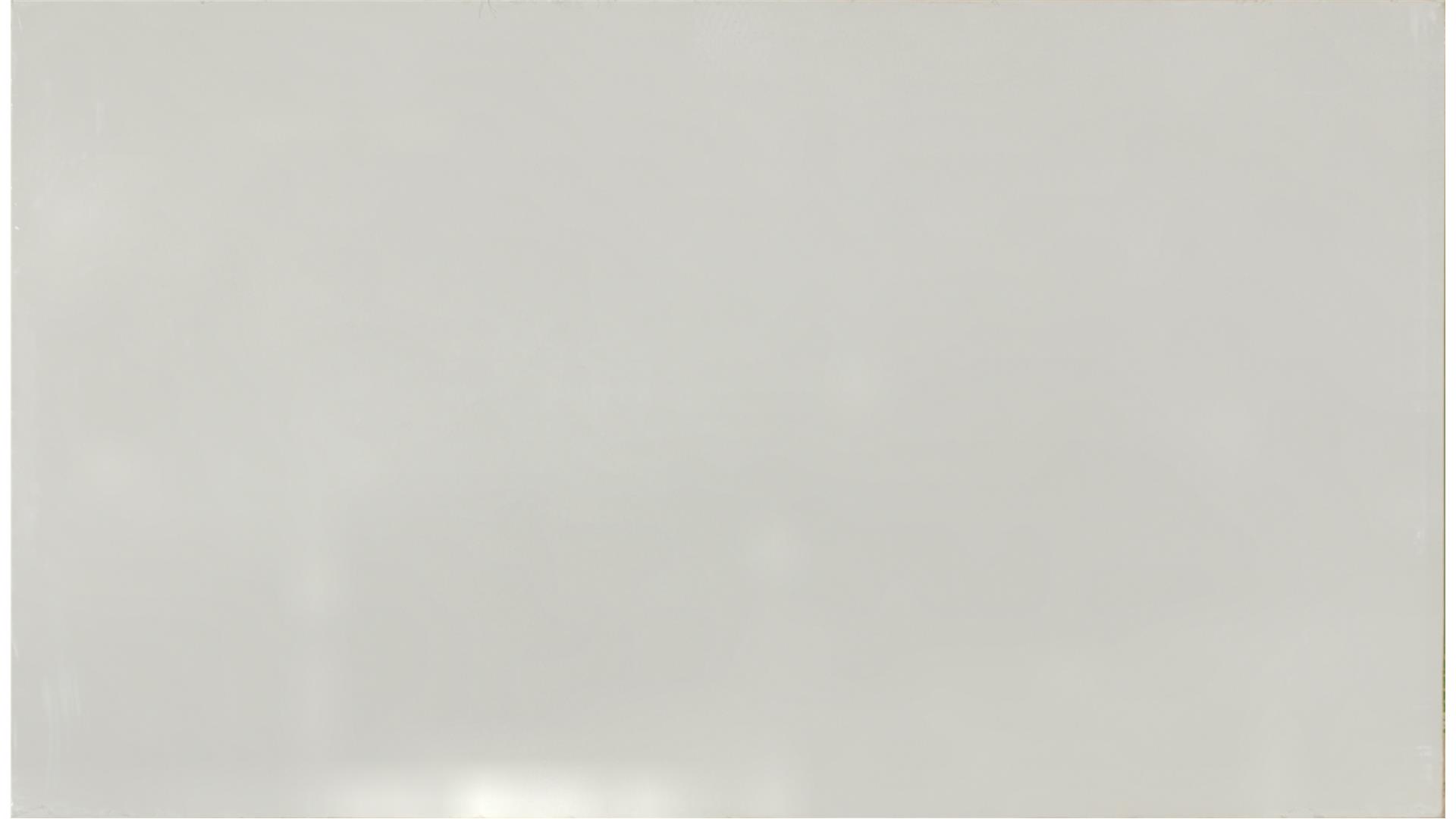 Snow White QUARTZ Slabs