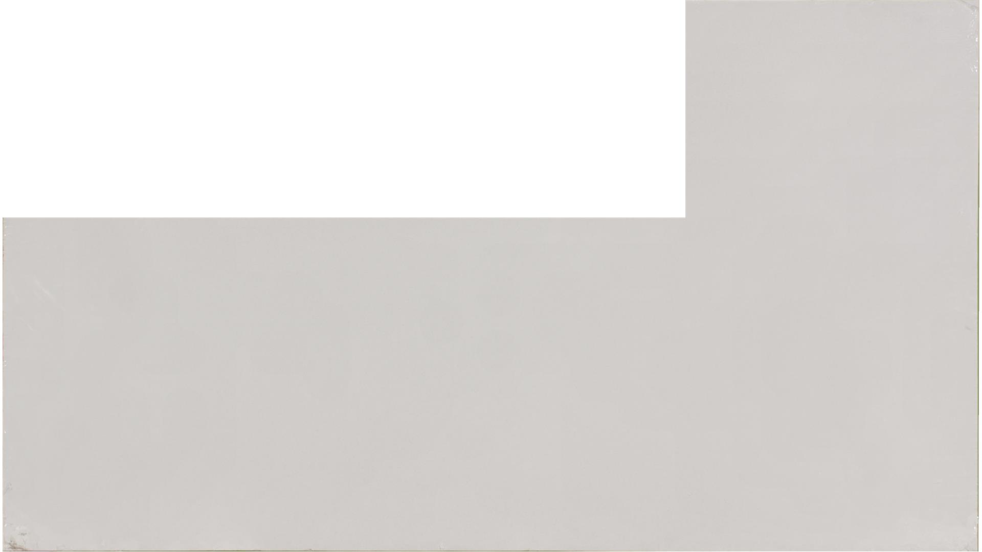 Snow White QUARTZ Slabs