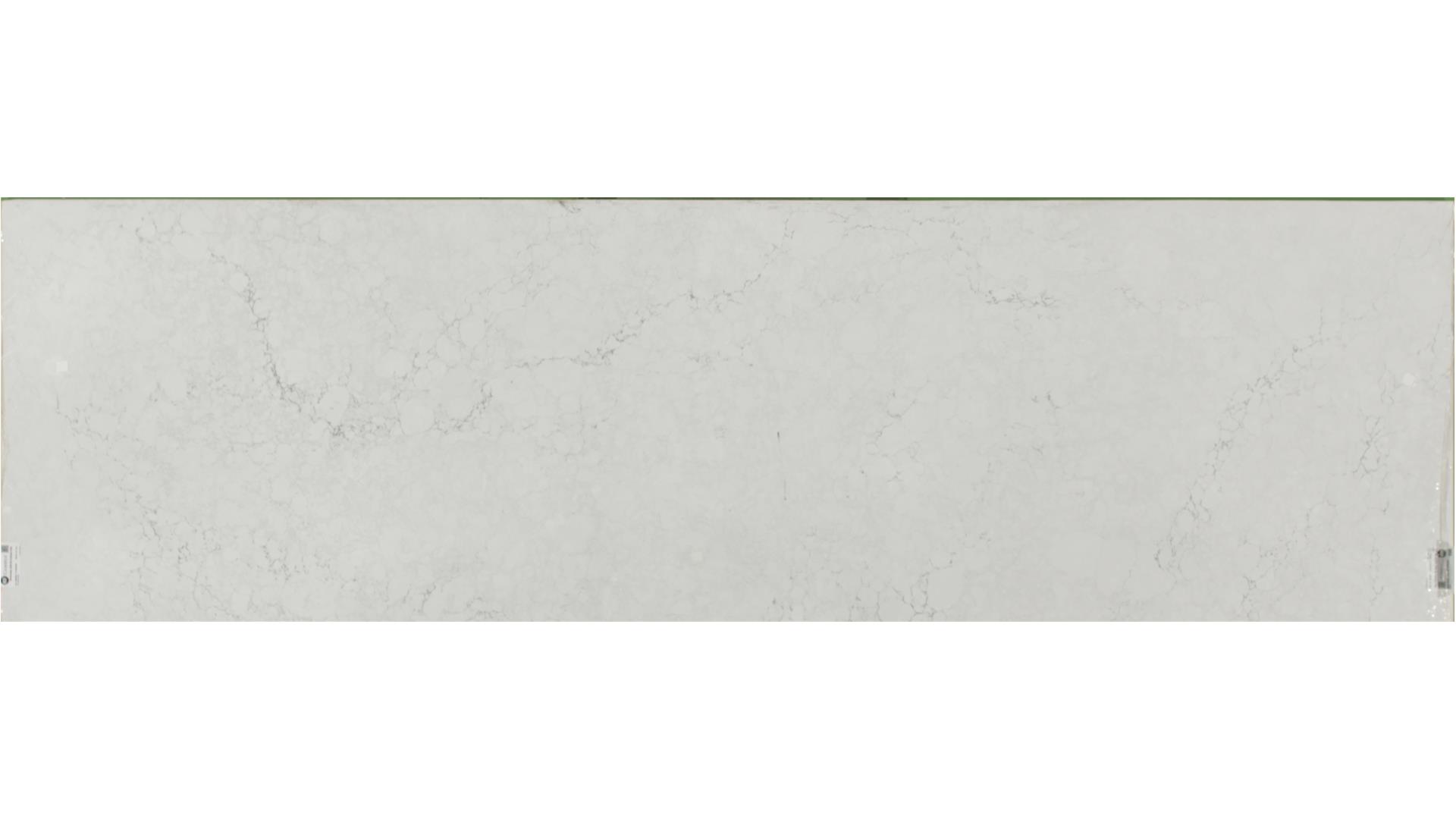 Whitendale QUARTZ Slabs