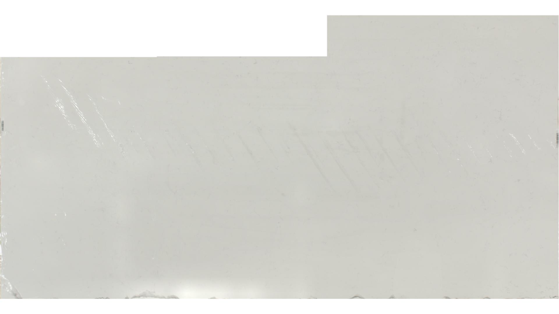 CARRARA PISA QUARTZ Slabs