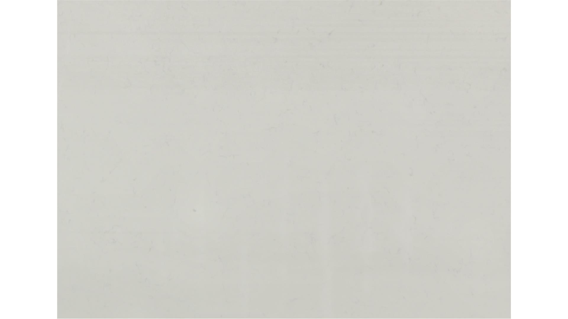 CARRARA PISA QUARTZ Slabs