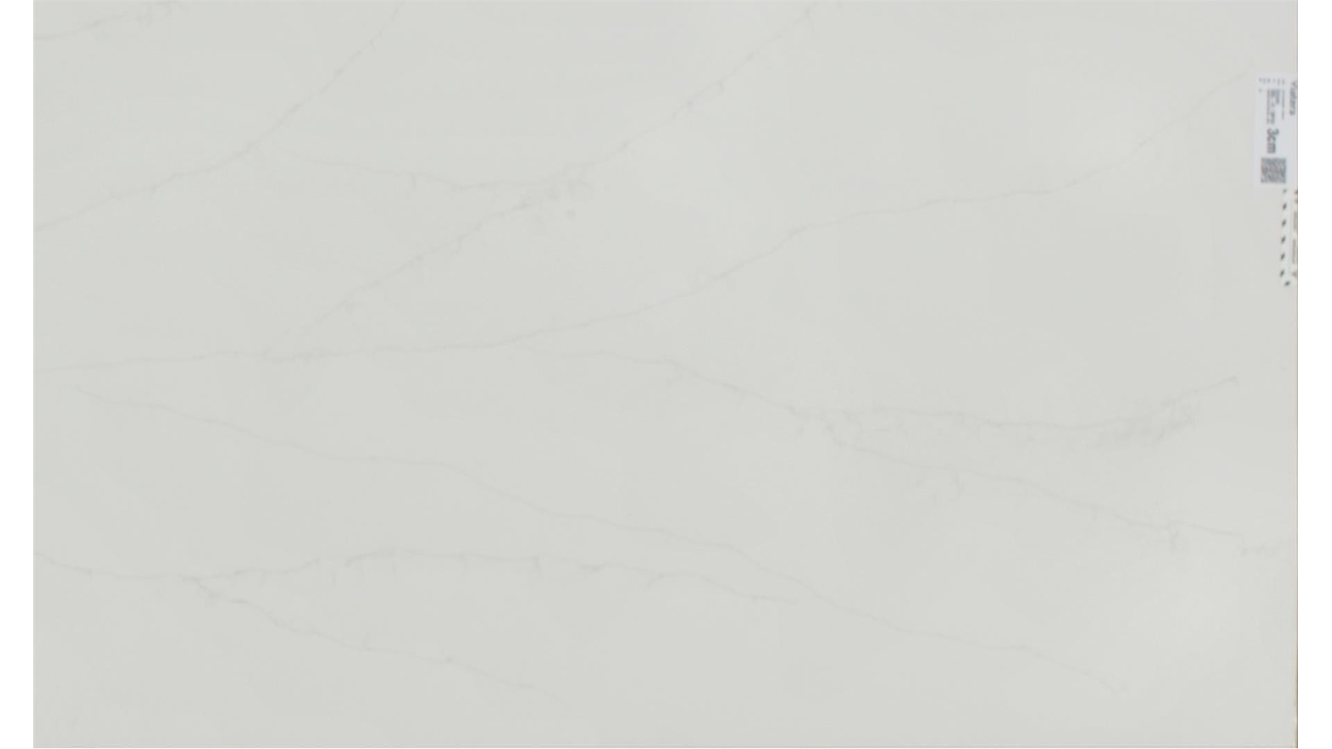 Delicato  QUARTZ Slabs