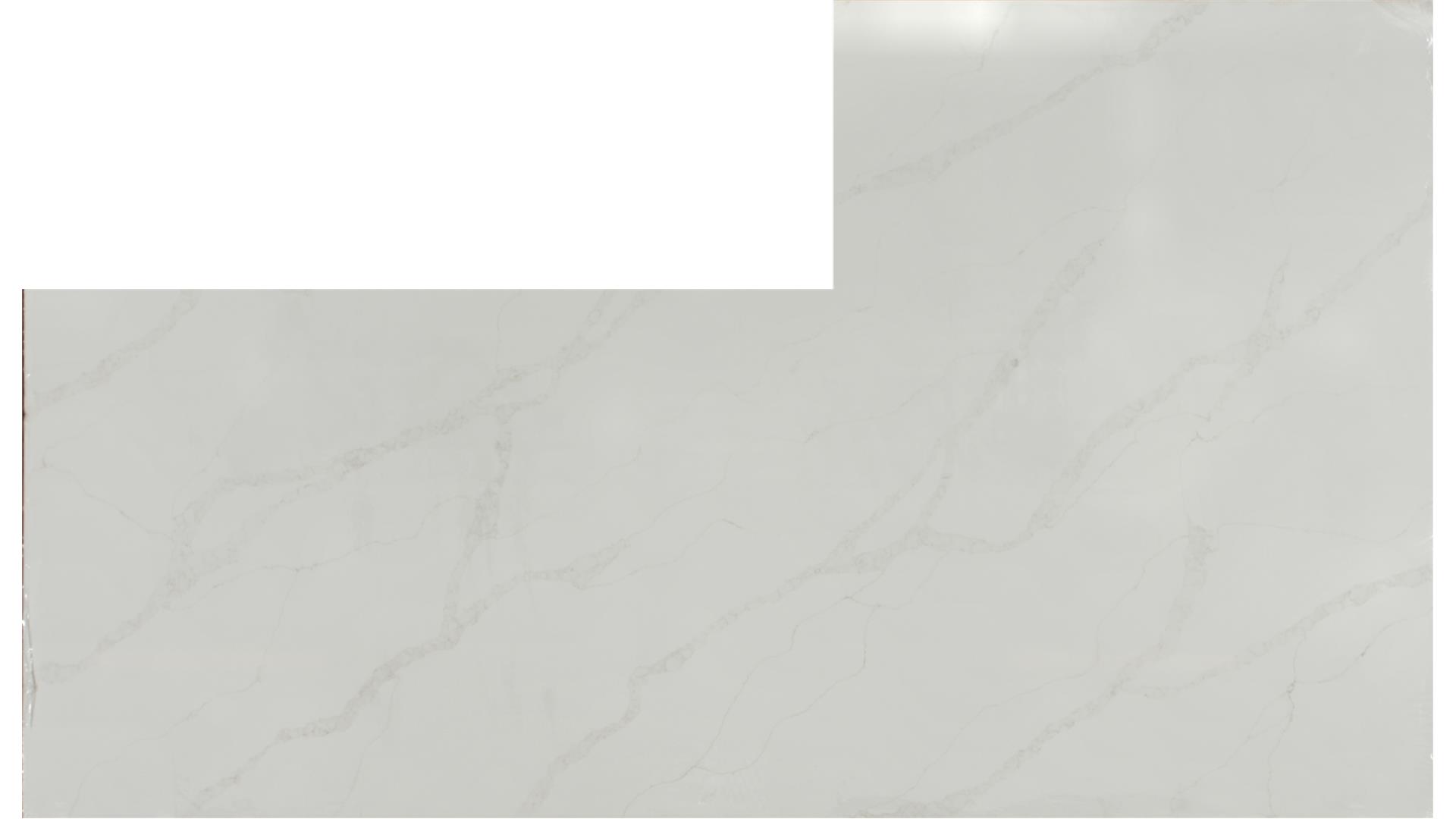 CALACATTA ELYSIO QUARTZ Slabs