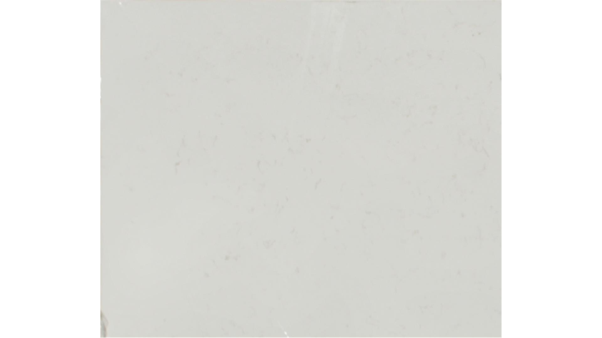 CARRARA ROMA QUARTZ Slabs