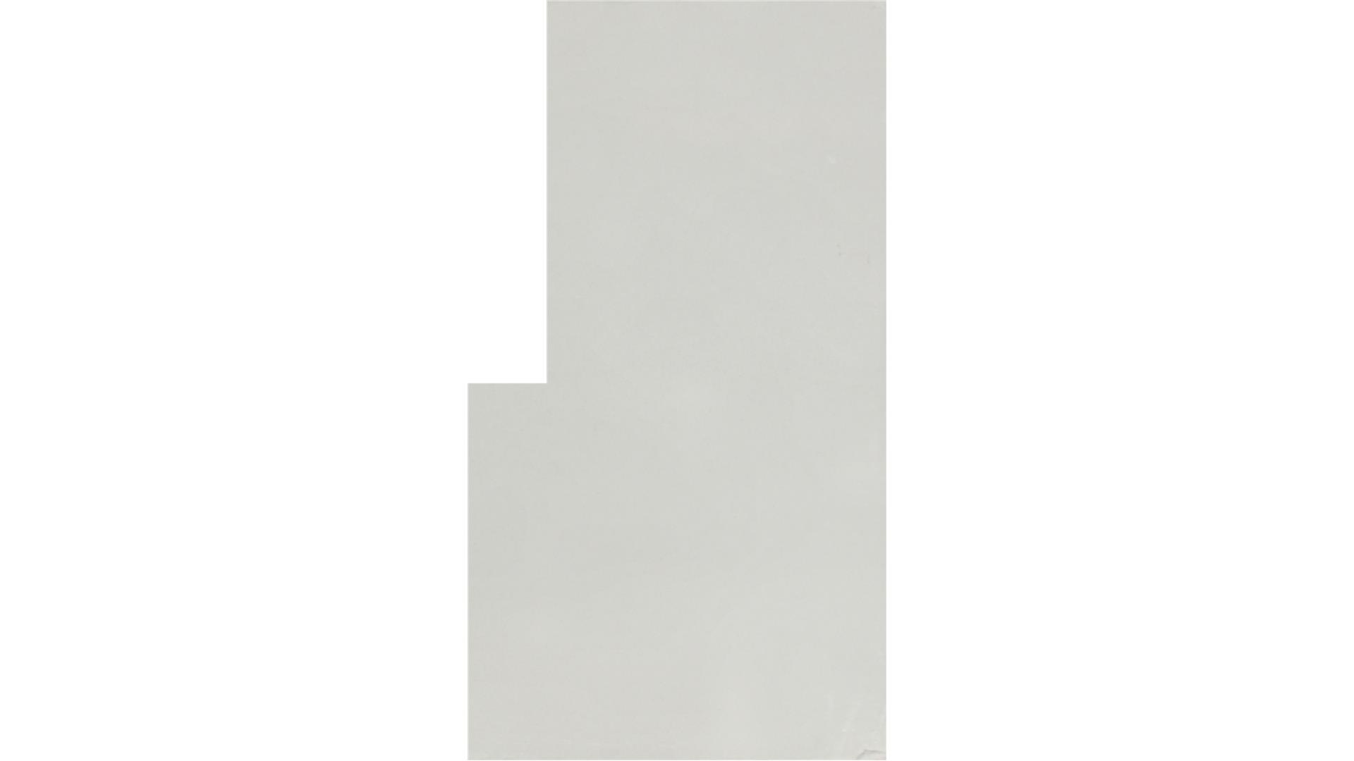 Frost White QUARTZ Slabs