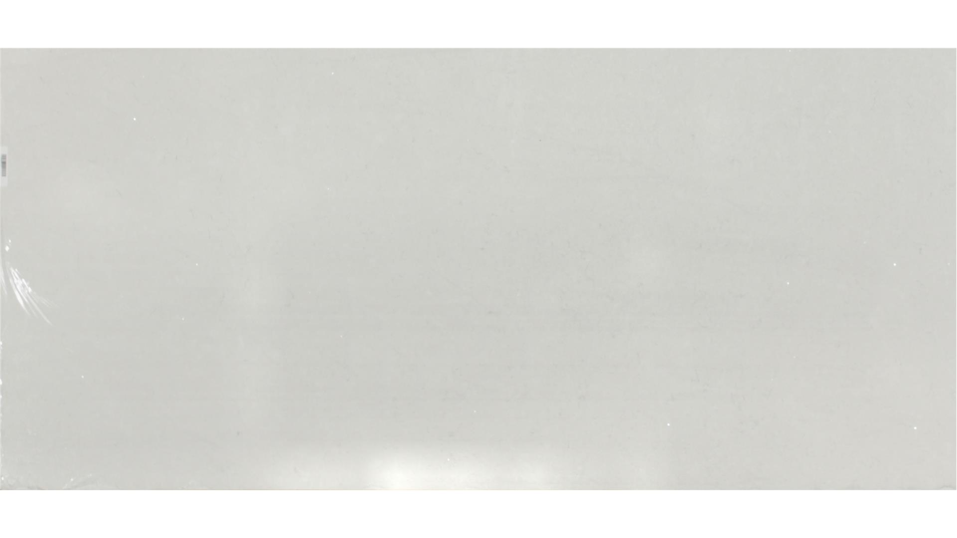CORONADO WHITE QUARTZ Slabs