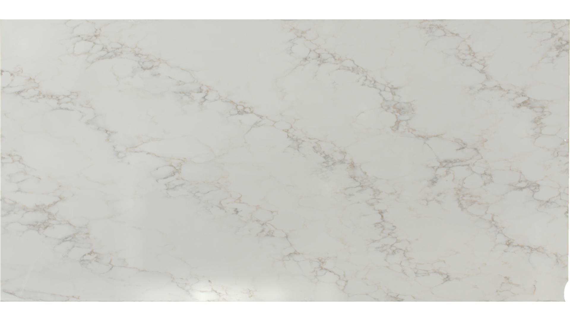CALACATTA CINELA  QUARTZ Slabs