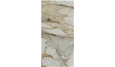 Marmo Antico Porcelain