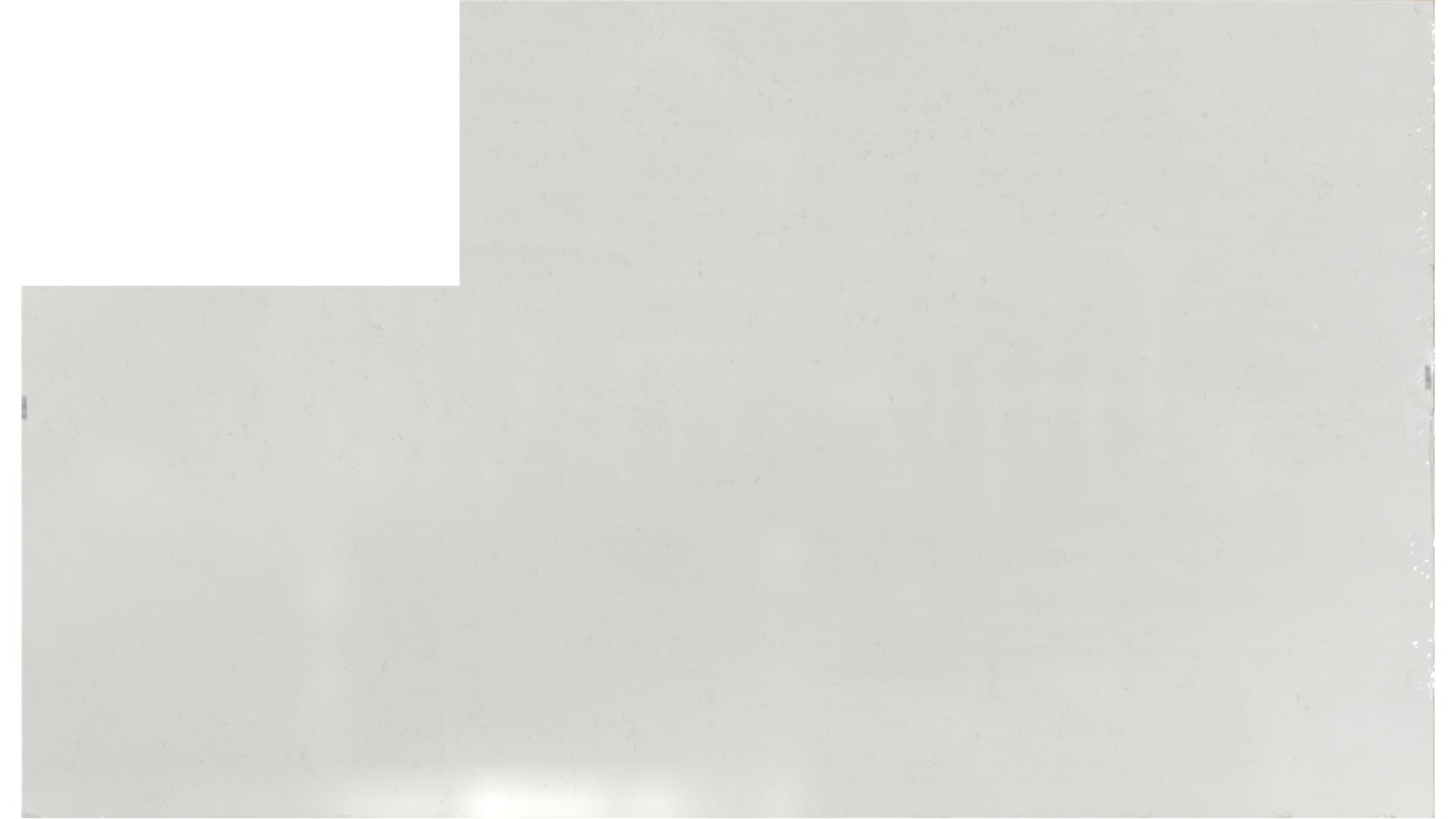 CARRARA ROMA QUARTZ Slabs